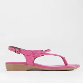 Women's Thong Flat Sandal in Hot Pink - 10732